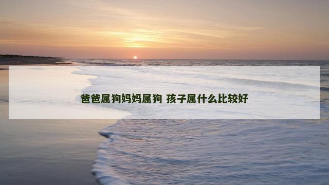 爸爸属狗妈妈属狗 孩子属什么比较好