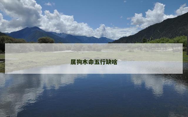 属狗木命五行缺啥