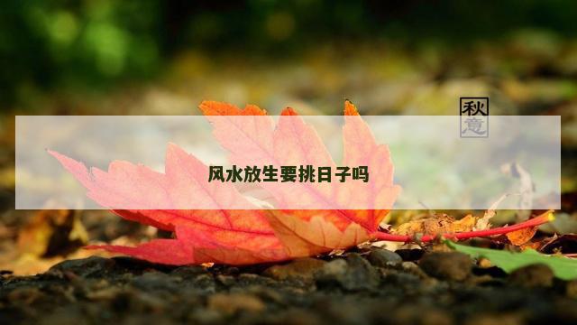 风水放生要挑日子吗