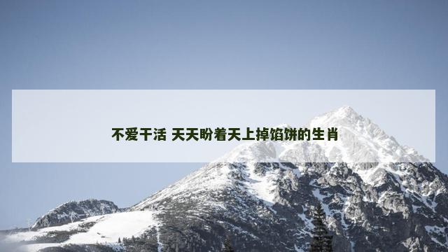 不爱干活 天天盼着天上掉馅饼的生肖
