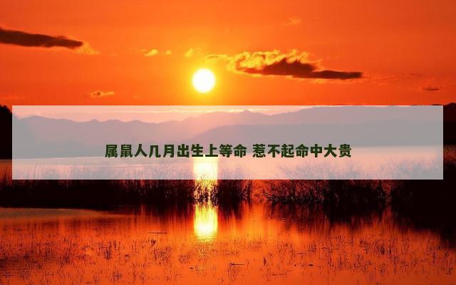属鼠人几月出生上等命 惹不起命中大贵