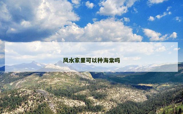 风水家里可以种海棠吗