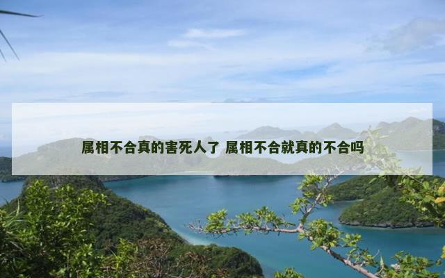 属相不合真的害死人了 属相不合就真的不合吗