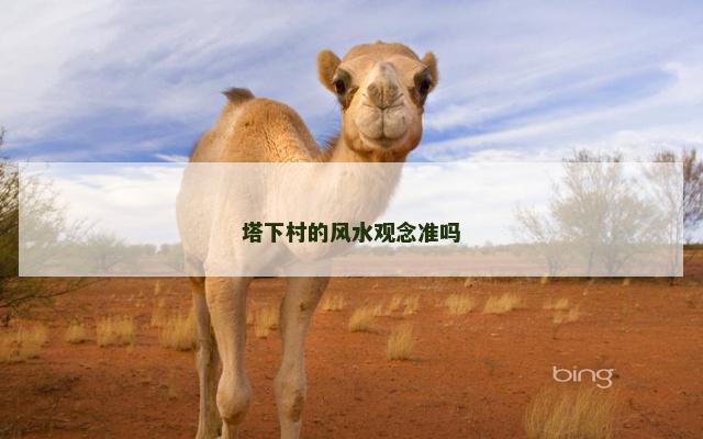 塔下村的风水观念准吗