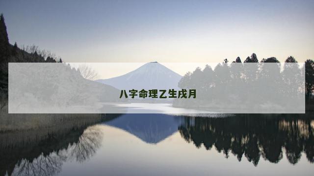 八字命理乙生戌月