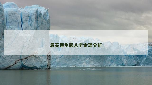 袁天罡生辰八字命理分析