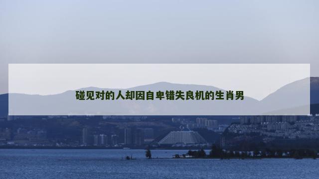 碰见对的人却因自卑错失良机的生肖男
