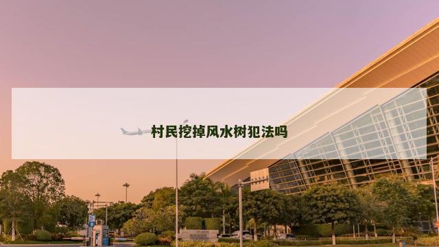 村民挖掉风水树犯法吗