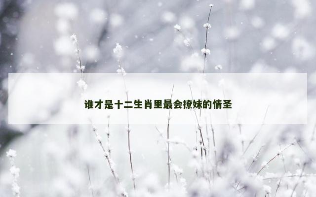 谁才是十二生肖里最会撩妹的情圣