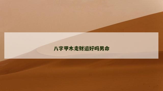 八字甲木走财运好吗男命