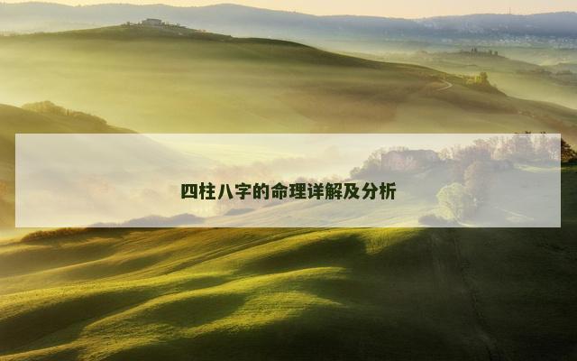四柱八字的命理详解及分析