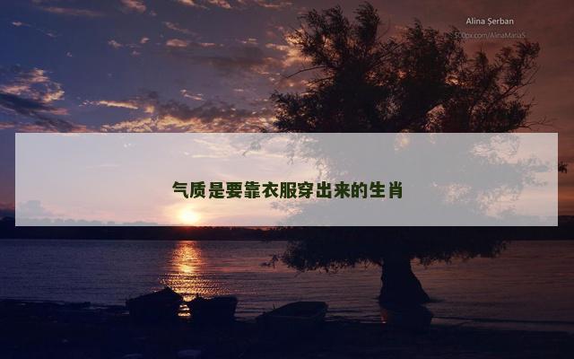 气质是要靠衣服穿出来的生肖
