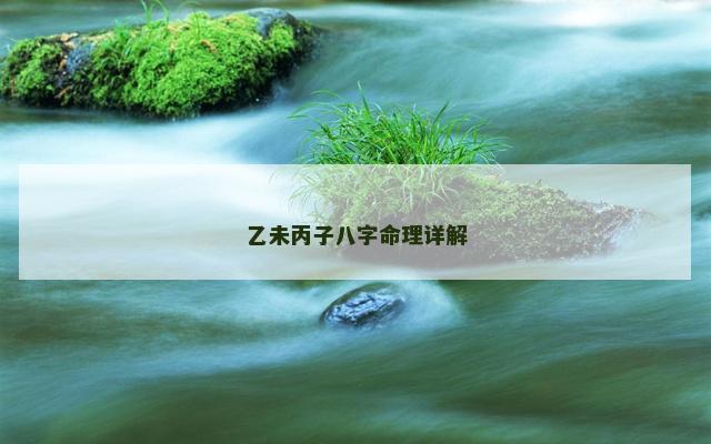 乙未丙子八字命理详解