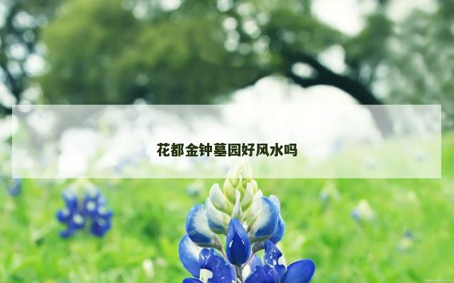 花都金钟墓园好风水吗