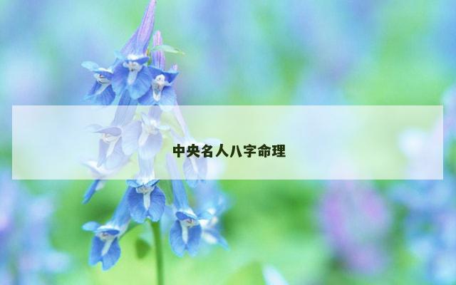 中央名人八字命理