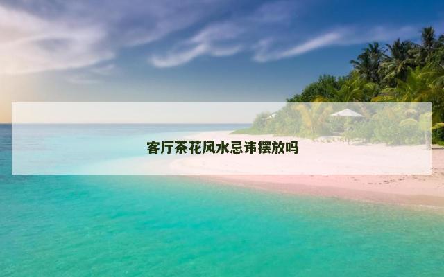 客厅茶花风水忌讳摆放吗