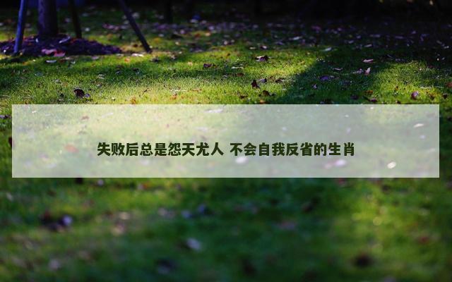 失败后总是怨天尤人 不会自我反省的生肖