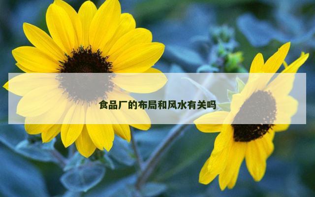 食品厂的布局和风水有关吗
