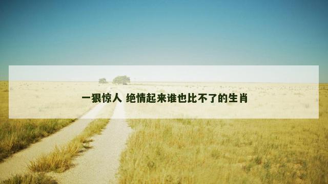 一狠惊人 绝情起来谁也比不了的生肖