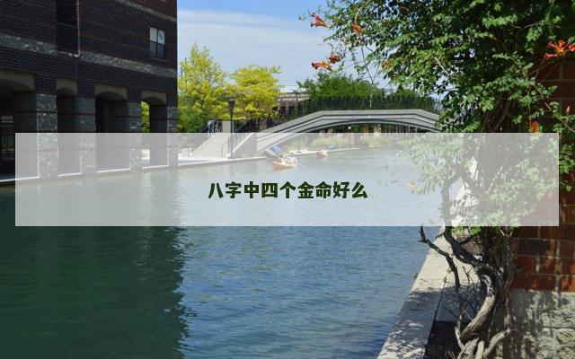八字中四个金命好么