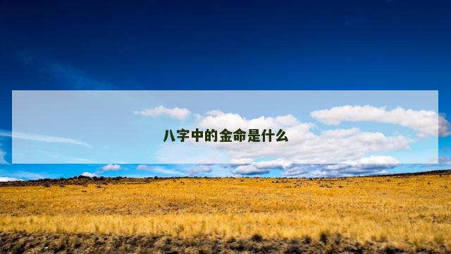 八字中的金命是什么