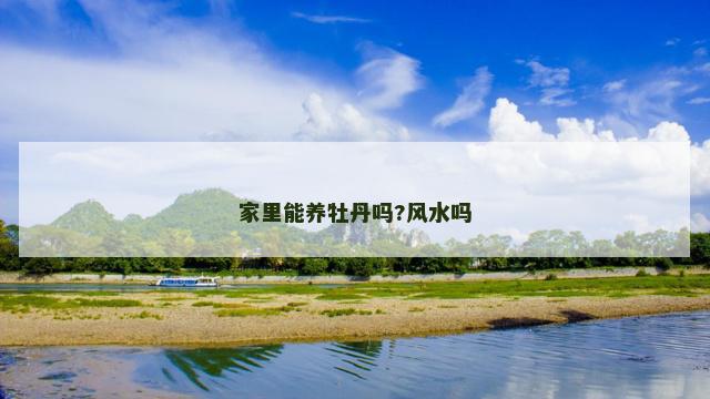 家里能养牡丹吗?风水吗