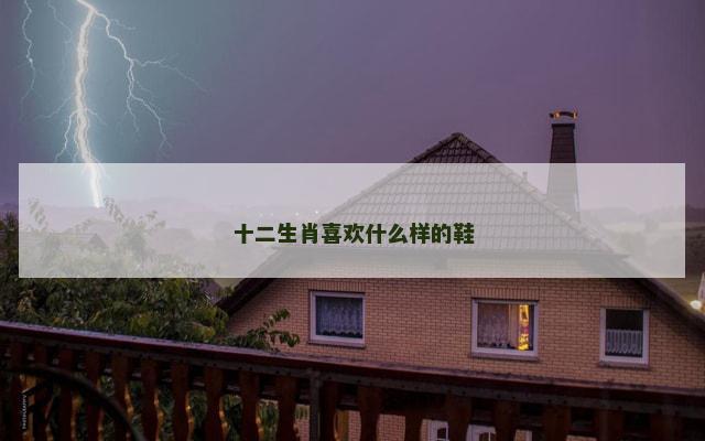 十二生肖喜欢什么样的鞋