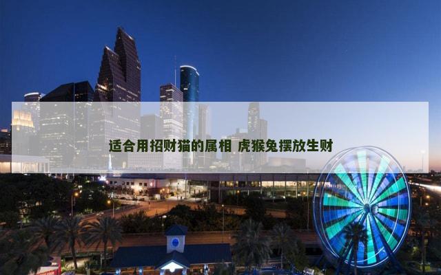 适合用招财猫的属相 虎猴兔摆放生财