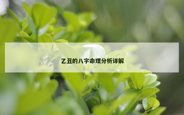 乙丑的八字命理分析详解