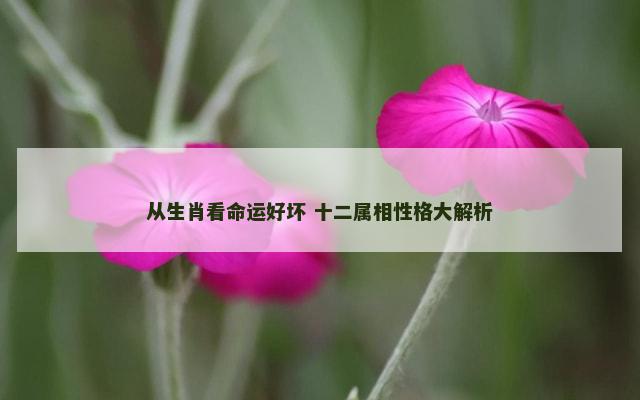 从生肖看命运好坏 十二属相性格大解析