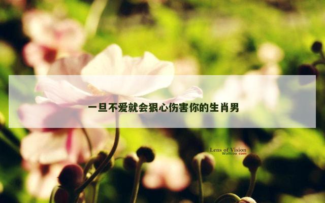 一旦不爱就会狠心伤害你的生肖男
