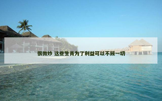 很微妙 这些生肖为了利益可以不顾一切