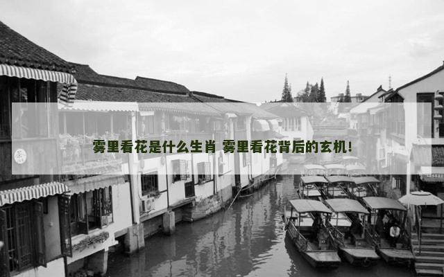 雾里看花是什么生肖 雾里看花背后的玄机！