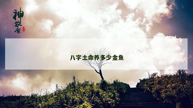 八字土命养多少金鱼