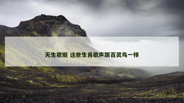 天生歌姬 这些生肖歌声跟百灵鸟一样