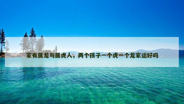 家有属龙与属虎人，两个孩子一个虎一个龙家运好吗