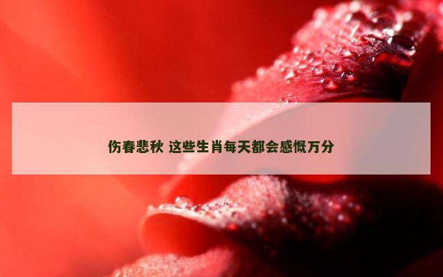 伤春悲秋 这些生肖每天都会感慨万分
