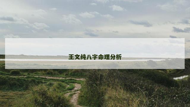 王文纯八字命理分析