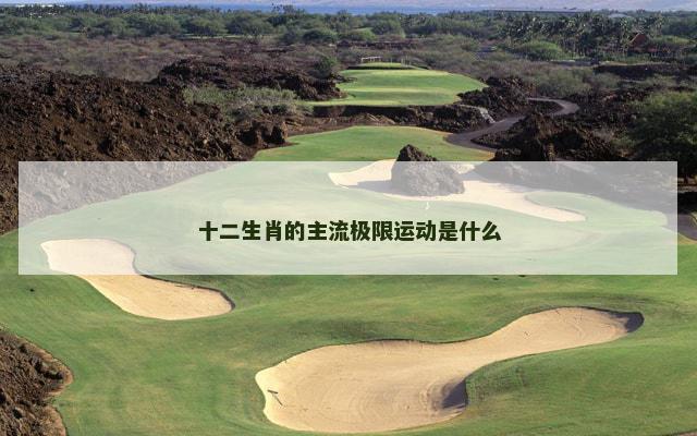 十二生肖的主流极限运动是什么