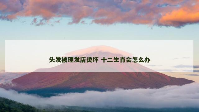 头发被理发店烫坏 十二生肖会怎么办