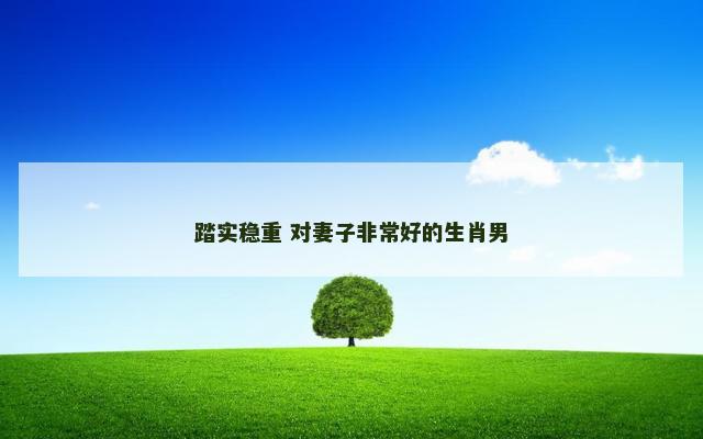 踏实稳重 对妻子非常好的生肖男