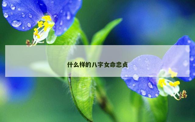 什么样的八字女命忠贞