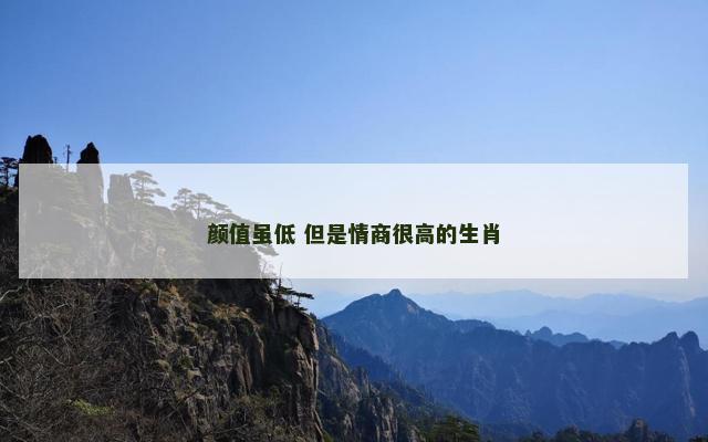 颜值虽低 但是情商很高的生肖
