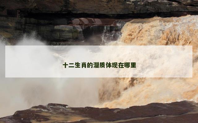 十二生肖的潜质体现在哪里