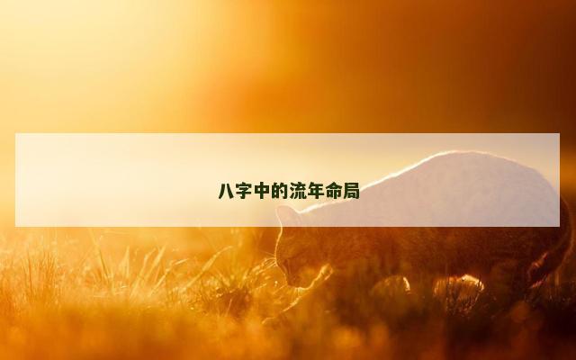 八字中的流年命局