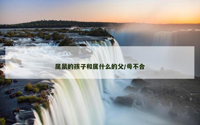 属鼠的孩子和属什么的父/母不合