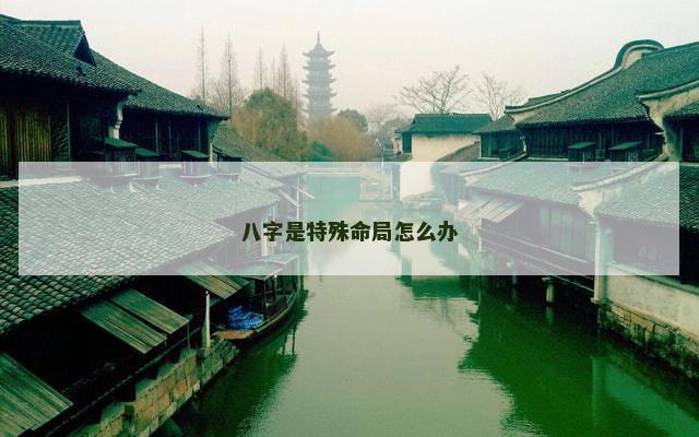 八字是特殊命局怎么办