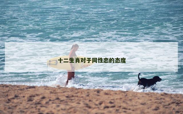 十二生肖对于同性恋的态度