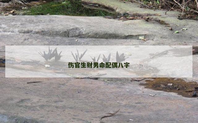 伤官生财男命配偶八字