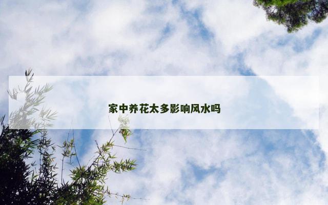 家中养花太多影响风水吗